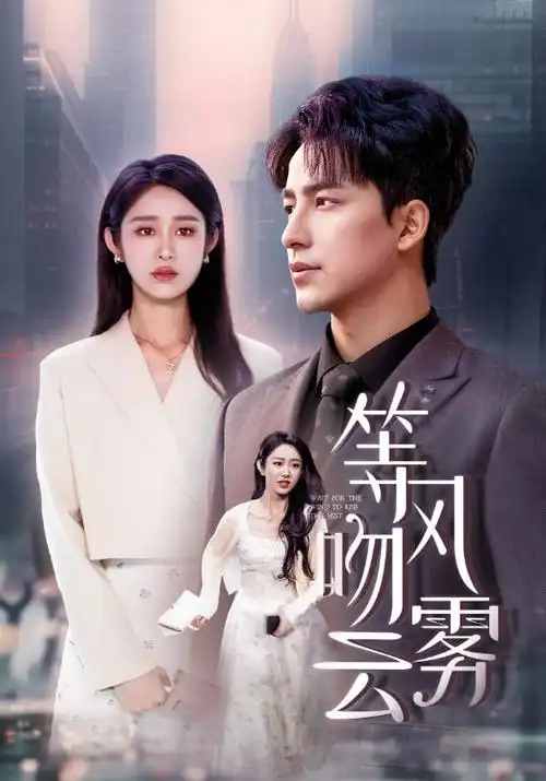 山海情剧集票根配图